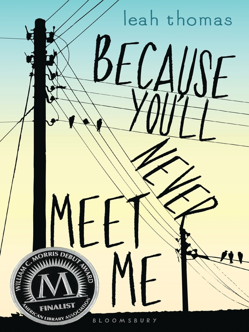 Title details for Because You'll Never Meet Me by Leah Thomas - Wait list